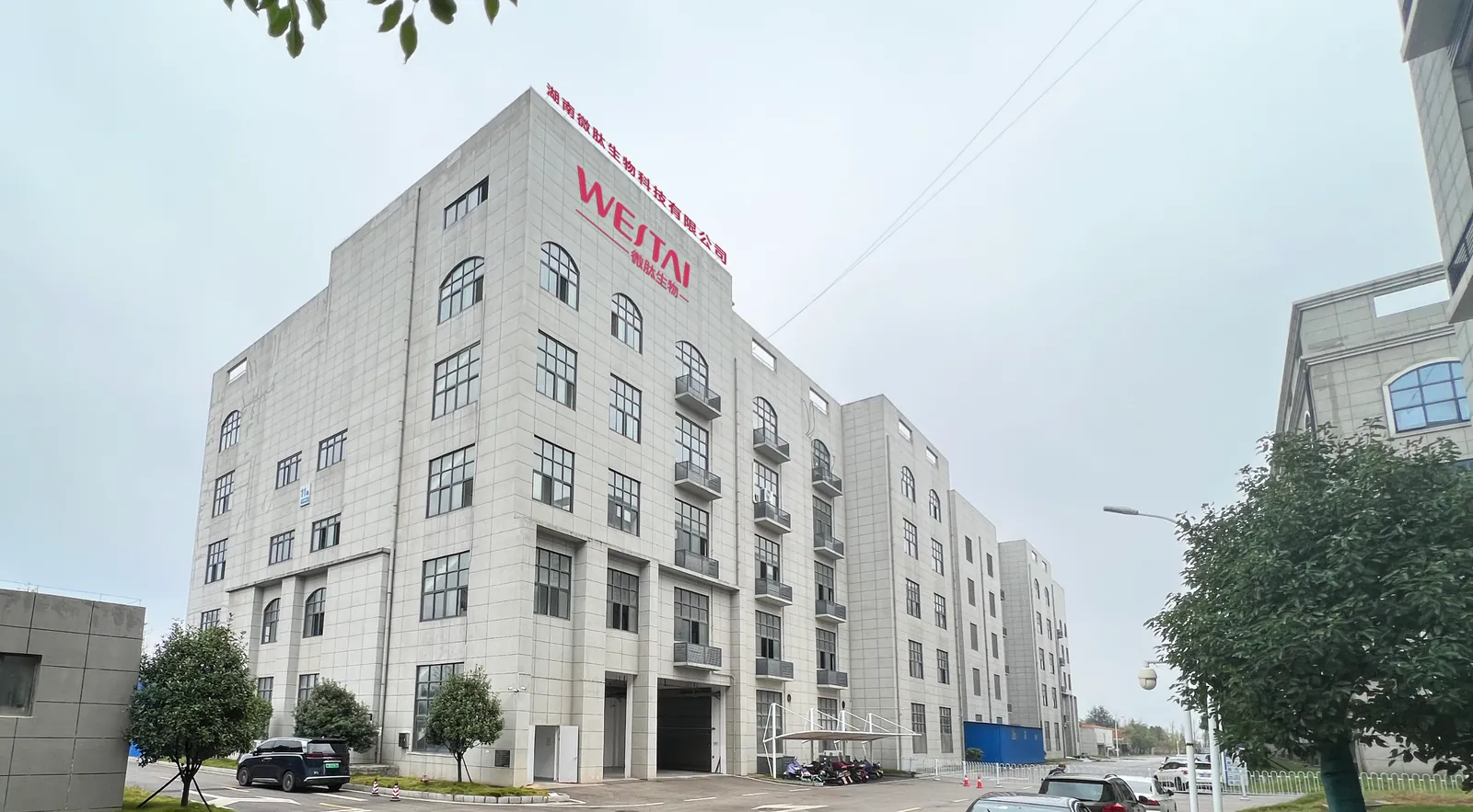 Global Trade & Sales Office